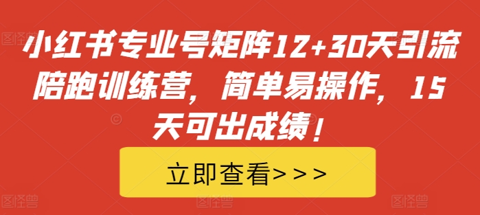 小红书专业号矩阵12+30天引流陪跑训练营，简单易操作，15天可出成绩!-AI网创