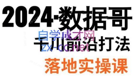 数据哥·2024年千川前沿打法落地实操课-AI网创
