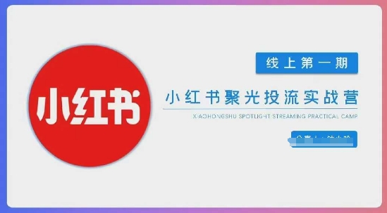 小红书聚光陪跑第一期，教你从0到1玩转小红书聚光投流，搭建小红书付费投流团队，更快的见到效果-AI网创