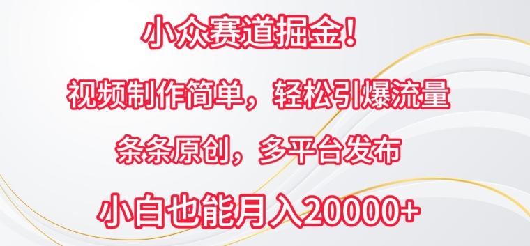 小众赛道掘金，视频制作简单，轻松引爆流量，条条原创，多平台发布【揭秘】-AI网创