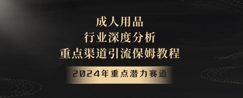 2024年重点潜力赛道，成人用品行业深度分析，重点渠道引流保姆教程【揭秘】-AI网创