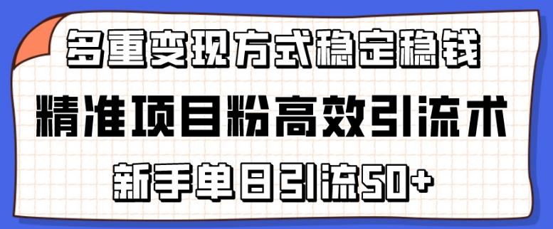 精准项目粉高效引流术，新手单日引流50+，多重变现方式稳定赚钱【揭秘】-AI网创