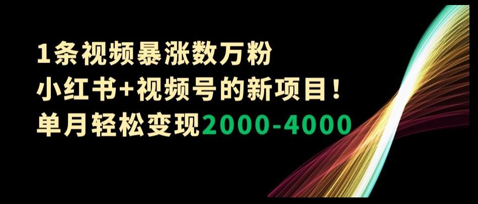 1条视频暴涨数万粉–小红书+视频号的新项目！单月轻松变现2000-4000【揭秘】-AI网创