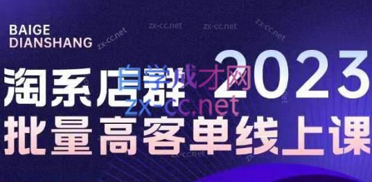 白戈电商·23年淘系批量高客单+24年全域电商矩阵-AI网创