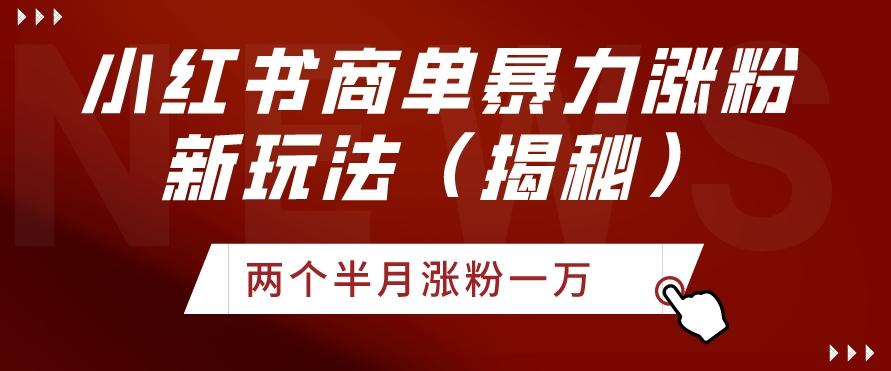 小红书商单暴力涨粉新玩法两个半月涨粉一万（揭秘）-AI网创