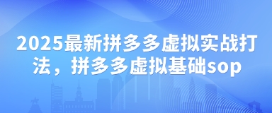 2025最新拼多多虚拟实战打法，拼多多虚拟基础sop-AI网创