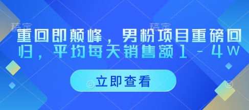 重回即颠峰，男粉项目重磅回归，平均每天销售额1-4W-AI网创