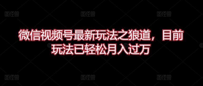 微信视频号最新玩法之狼道，目前玩法已轻松月入过万【揭秘】-AI网创