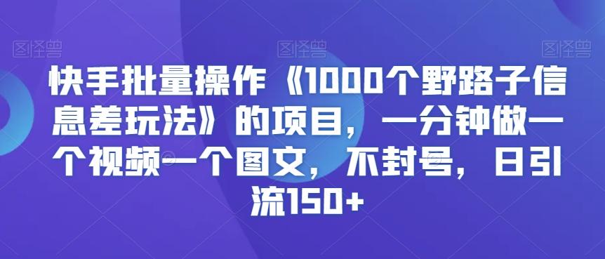 快手批量操作《1000个野路子信息差玩法》的项目，一分钟做一个视频一个图文，不封号，日引流150+【揭秘】-AI网创