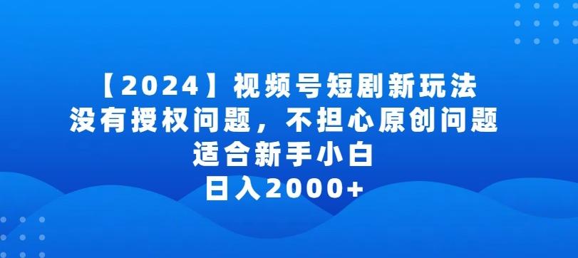 2024视频号短剧玩法，没有授权问题，不担心原创问题，适合新手小白，日入2000+【揭秘】-AI网创