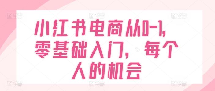 小红书电商从0-1，零基础入门，每个人的机会-AI网创