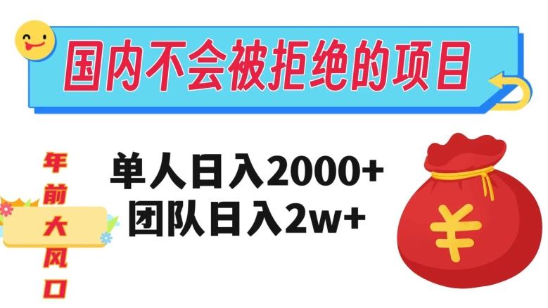 在国内不怕被拒绝的项目，单人日入2000，团队日入20000+【揭秘】-AI网创