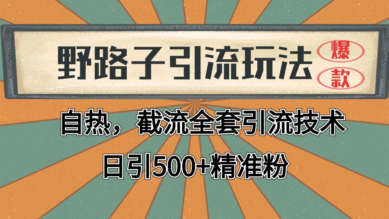抖音小红书视频号全平台引流打法，全自动引流日引2000+精准客户-AI网创