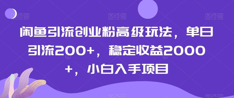 闲鱼引流创业粉高级玩法，单日引流200+，稳定收益2000+，小白入手项目-AI网创