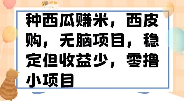 种西瓜赚米，西皮购稳定长久零撸小项目-AI网创