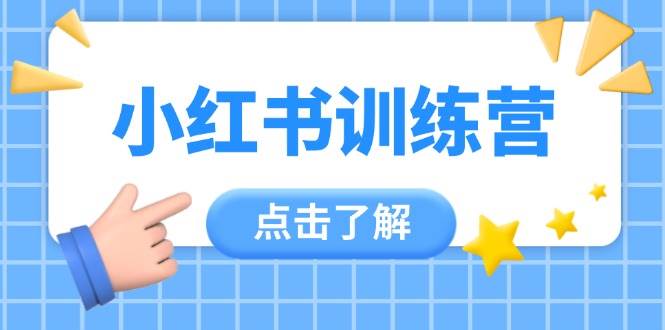 小红书训练营，助小白入门，掌握技巧变达人，课程实操又全面(12节课)-AI网创