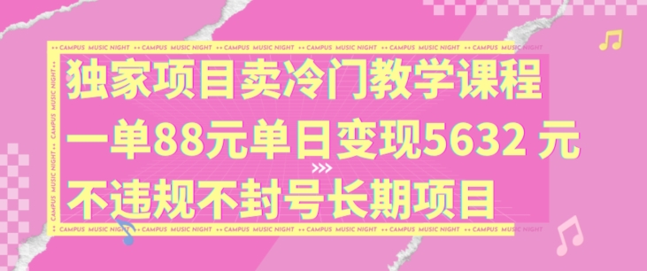 独家项目卖冷门教学课程一单88元单日变现5632元违规不封号长期项目【揭秘】-AI网创