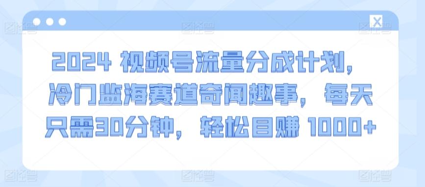 2024视频号流量分成计划，冷门监海赛道奇闻趣事，每天只需30分钟，轻松目赚 1000+【揭秘】-AI网创