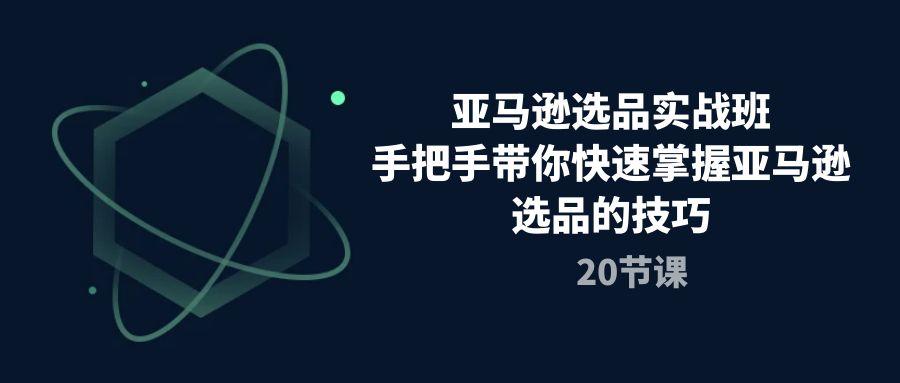 亚马逊选品实战班，手把手带你快速掌握亚马逊选品的技巧(20节课-AI网创