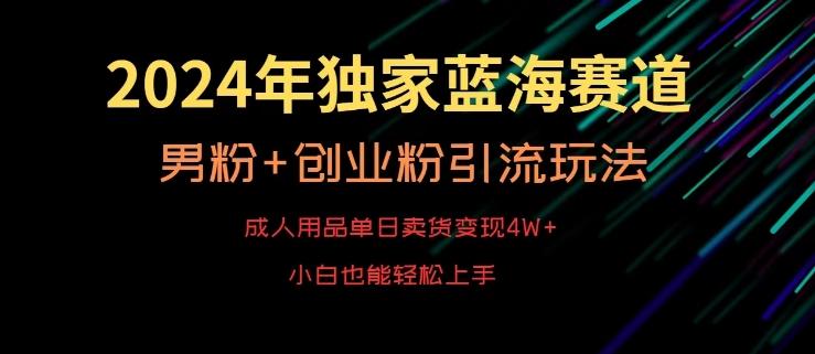 2024年独家蓝海赛道，成人用品单日卖货变现4W+，男粉+创业粉引流玩法，不愁搞不到流量【揭秘】-AI网创