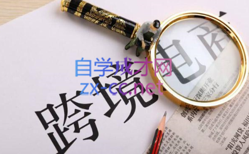 帮课大学VIP会员课程(更新2025年)-AI网创