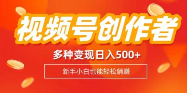 视频号创作者计划，多种变现方式，日入500+【内附1080g视频素材】-AI网创