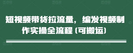 短视频带货拉流量，编发视频制作实操全流程(可搬运)-AI网创