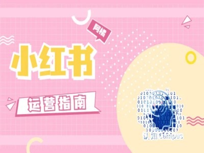 小红书运营指南，没有套路，全是经验-AI网创