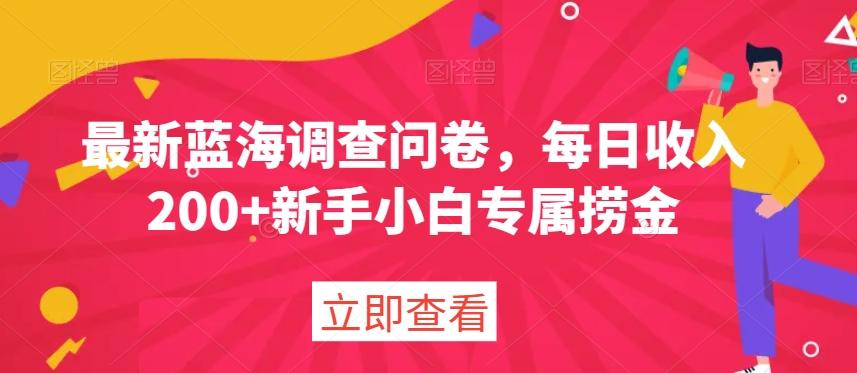 最新蓝海调查问卷，每日收入200+新手小白专属捞金-AI网创