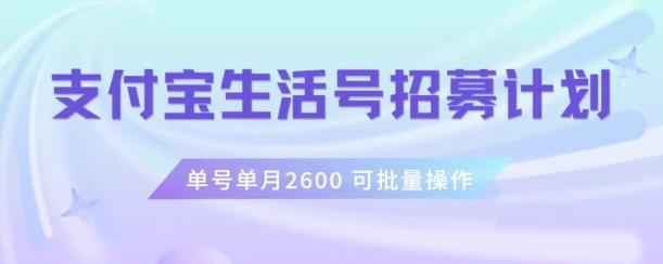 支付宝生活号作者招募计划，单号单月2600，可批量去做，工作室一人一个月轻松1w+【揭秘】-AI网创