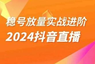 稳号放量实战进阶—2024抖音直播，直播间精细化运营的几大步骤-AI网创