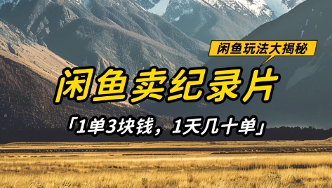 闲鱼卖纪录片1单3块钱，1天几十单，项目稳定有潜力-AI网创