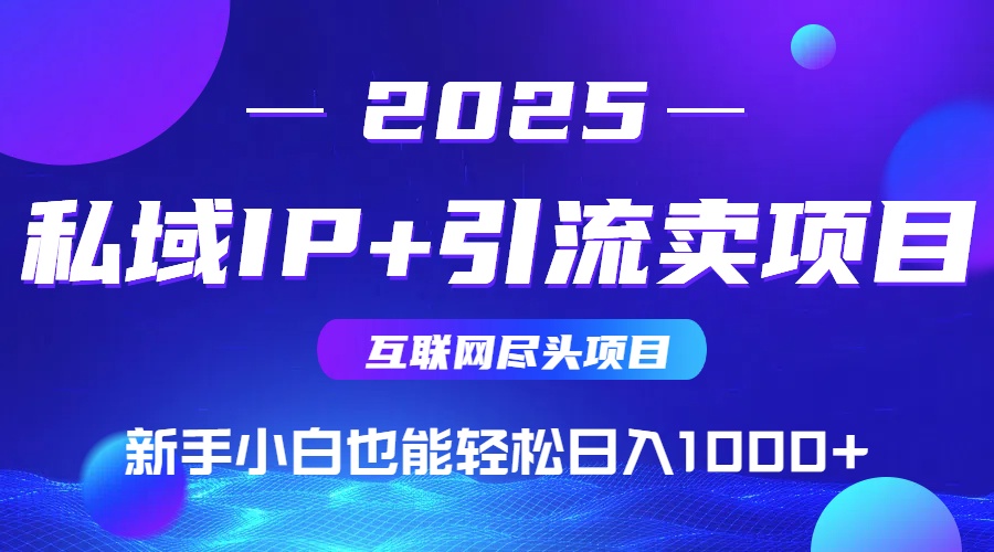 私域IP+卖项目，普通人小白也能轻松实现日入1000+-AI网创