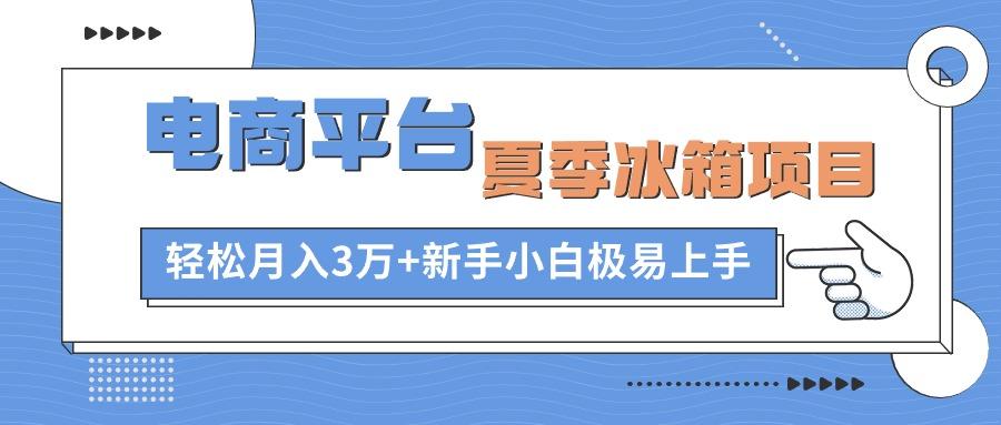 电商平台夏季冰箱项目，轻松月入3万+，新手小白极易上手-AI网创