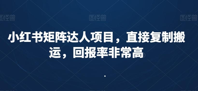 小红书矩阵达人项目，直接复制搬运，回报率非常高-AI网创