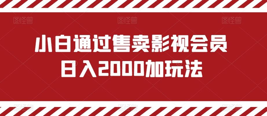 小白通过售卖影视会员日入2000加玩法-AI网创