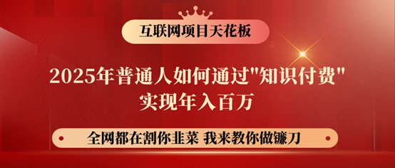 镰刀训练营超级IP合伙人，25年普通人如何通过“知识付费”年入百万！-AI网创