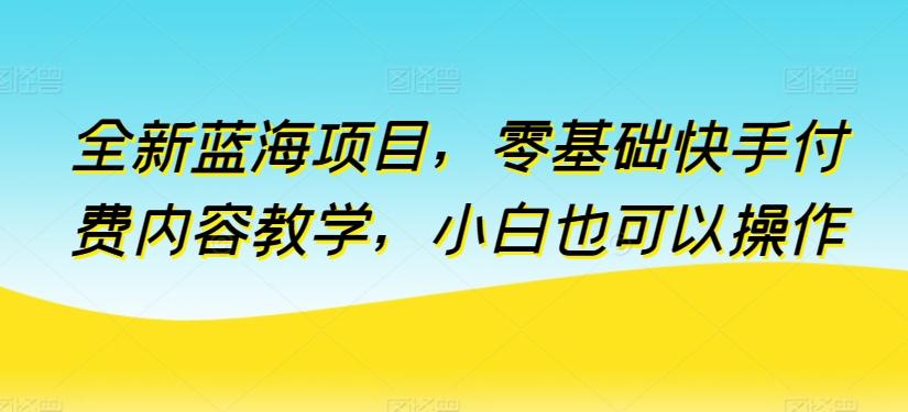 全新蓝海项目，零基础快手付费内容教学，小白也可以操作【揭秘】-AI网创