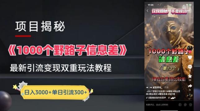 一千个野路子信息差最新玩法教程-变现+引流的玩法具体拆解【揭秘】-AI网创
