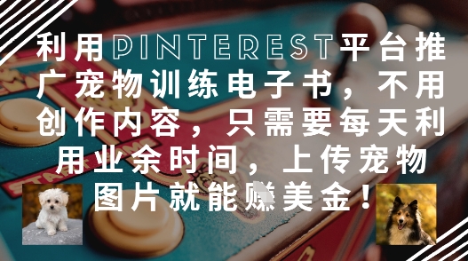 利用Pinterest平台推广宠物训练电子书，不用创作内容，只需要每天利用业余时间，上传宠物图片就能挣美金!-AI网创