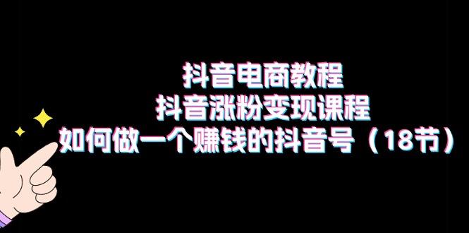 抖音电商教程：抖音涨粉变现课程：如何做一个赚钱的抖音号(18节-AI网创