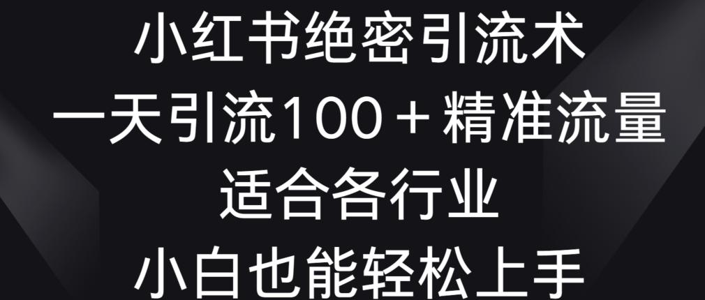 小红书绝密引流术，一天引流100+精准流量，适合各个行业，小白也能轻松上手【揭秘】-AI网创