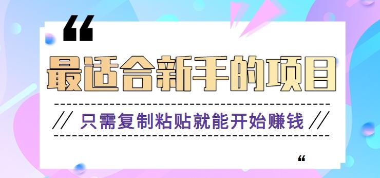 2024最适合新手操作的项目，新手小白只需复制粘贴就能开始赚钱【视频教程+软件】-AI网创