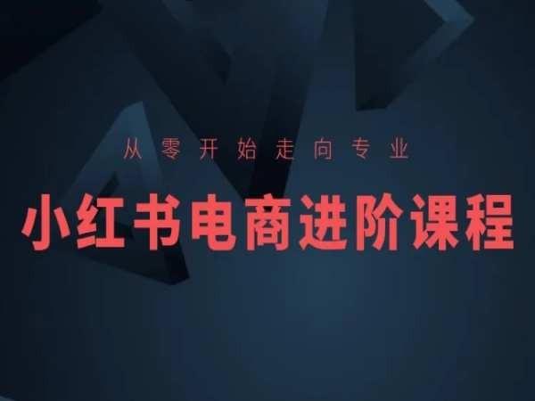 从零开始走向专业，小红书电商进阶课程-AI网创