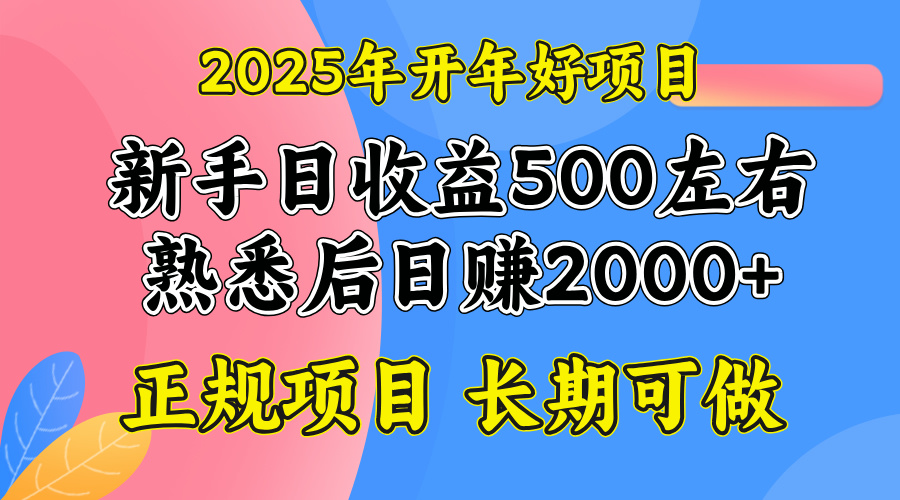 2025开年好项目，单号日收益2000左右-AI网创