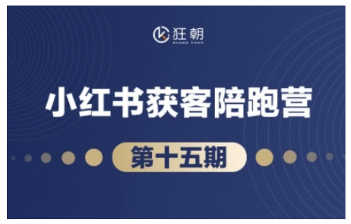抖音小红书视频号短视频带货与直播变现(11-16期),打造爆款内容，实现高效变现(更新)-AI网创