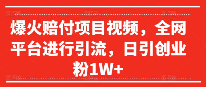 爆火赔付项目视频，全网平台进行引流，日引创业粉1W+【揭秘】-AI网创