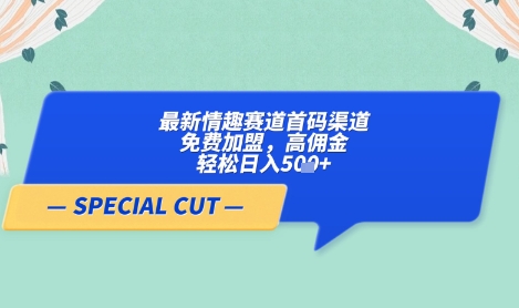 【轻云】最新情趣赛道首码渠道，免费加盟，高佣金，轻松日入5张+-AI网创