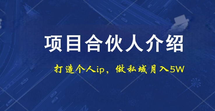 项目合伙人项目，打造个人IP，做私域月入5W，小白勿扰-AI网创