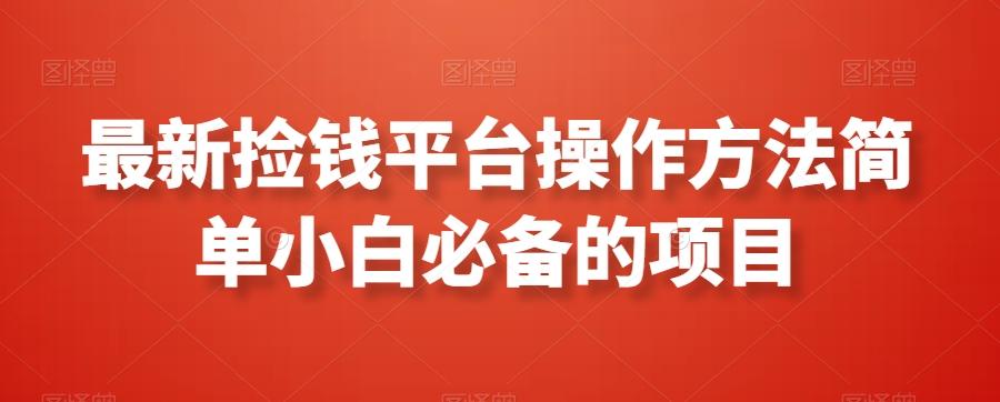 最新捡钱平台操作方法简单小白必备的项目-AI网创